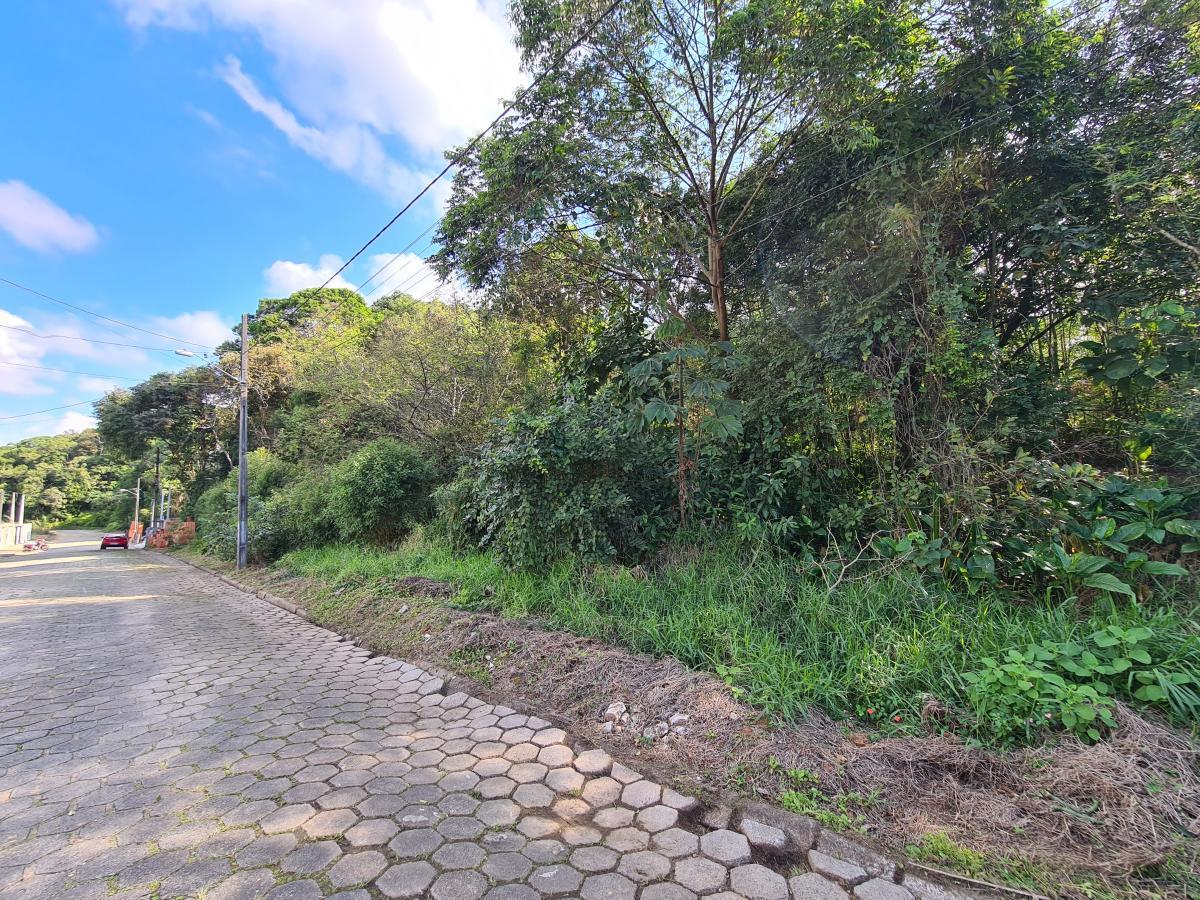 Terreno, 2550 m² - Foto 4