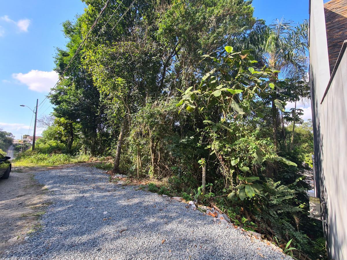 Terreno, 2550 m² - Foto 5